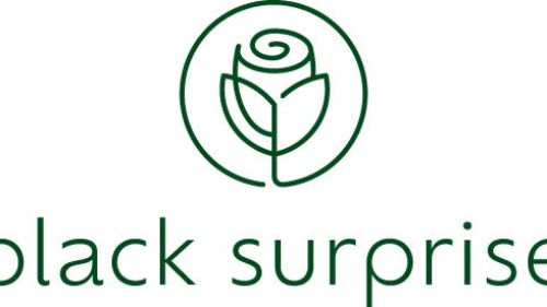 Bild zu Black Surprise